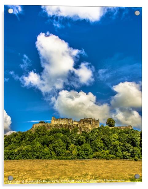 Stirling Castle In High Summer Acrylic by Tylie Duff Photo Art