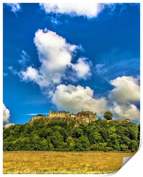 Stirling Castle In High Summer Print by Tylie Duff Photo Art