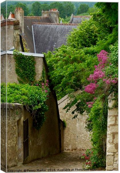 The medieval streets of Chinon, France Canvas Print by Penny Martin
