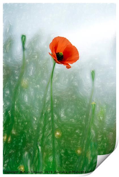 Lone Poppy Print by Alan Simpson
