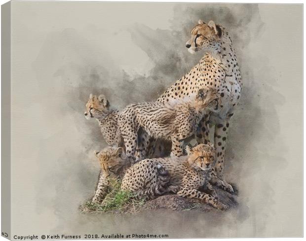 Cheetah Family Canvas Print by Keith Furness