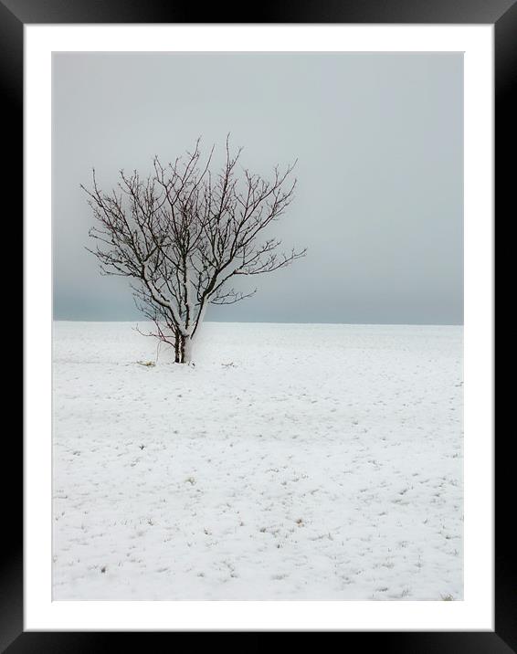 Cold Winter Landscape Framed Mounted Print by Nicola Clark