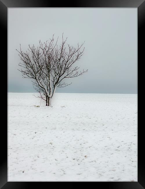 Cold Winter Landscape Framed Print by Nicola Clark