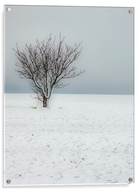 Cold Winter Landscape Acrylic by Nicola Clark
