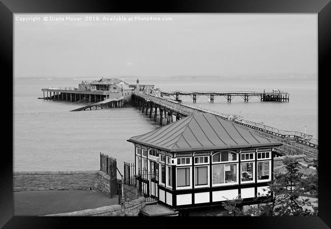 Birnbeck Pier  Framed Print by Diana Mower