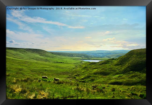 Yorkshire Landscape Framed Print by Derrick Fox Lomax