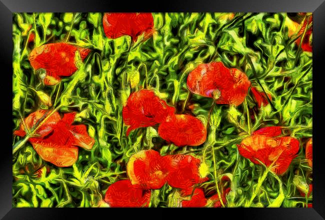 Poppys Van Goth Framed Print by David Pyatt