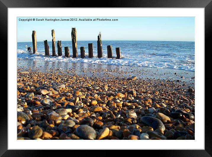 Winchelsea beach, East Sussex Framed Mounted Print by Sarah Harrington-James