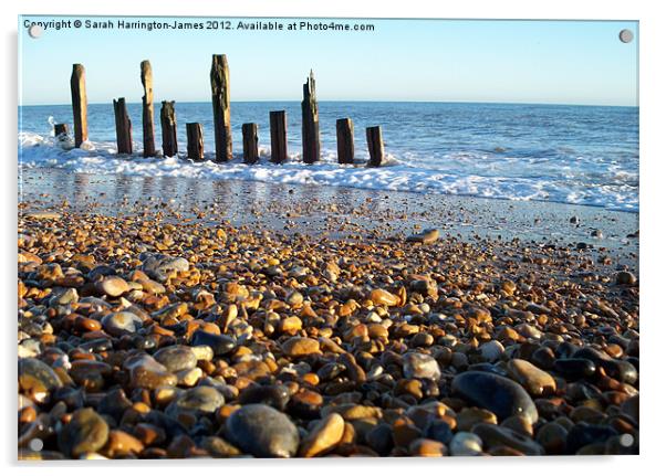 Winchelsea beach, East Sussex Acrylic by Sarah Harrington-James