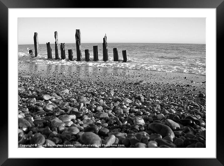 Winchelsea beach, East Sussex Framed Mounted Print by Sarah Harrington-James