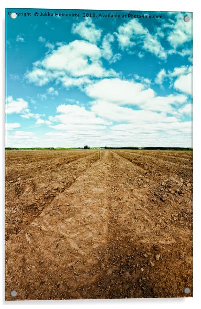 Plowed Furrows Of A Potato Field Acrylic by Jukka Heinovirta