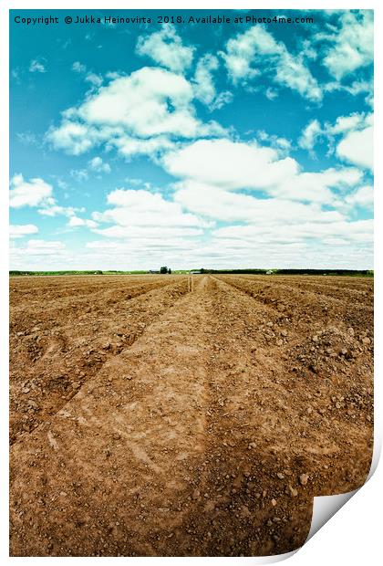 Plowed Furrows Of A Potato Field Print by Jukka Heinovirta