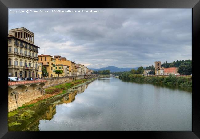 The river Arno Italy Framed Print by Diana Mower