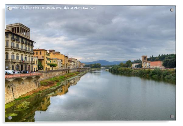 The river Arno Italy Acrylic by Diana Mower