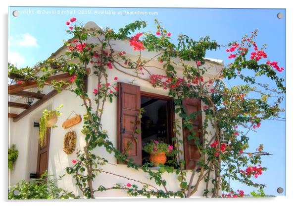 A Window on Skopelos Acrylic by David Birchall