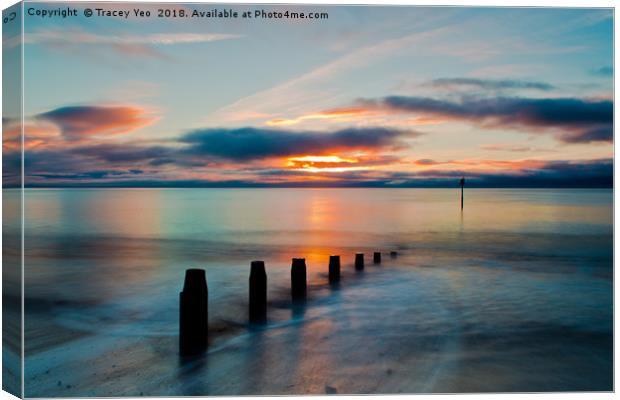Daybreak from Teignmouth Beach Canvas Print by Tracey Yeo