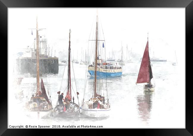 Heritage Sailing Regatta at Brixham in South Devon Framed Print by Rosie Spooner