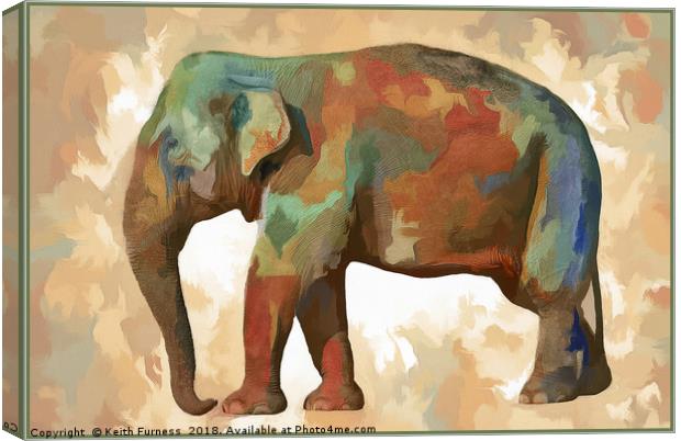 Elephant in Colour Canvas Print by Keith Furness