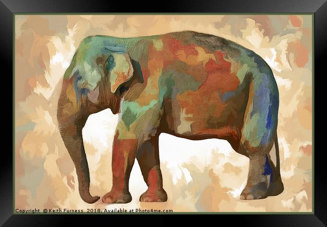 Elephant in Colour Framed Print by Keith Furness