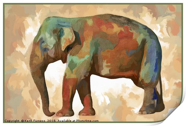 Elephant in Colour Print by Keith Furness