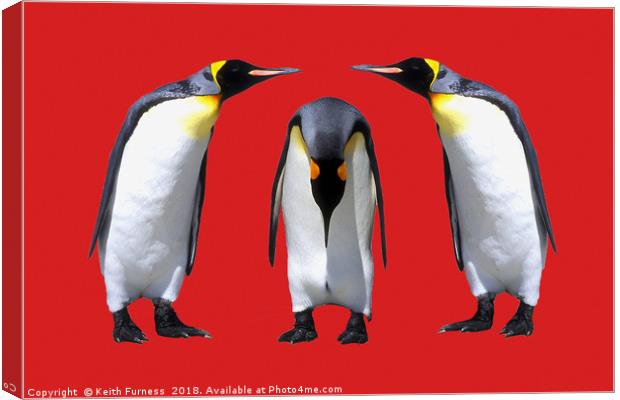 Three Penguins Canvas Print by Keith Furness