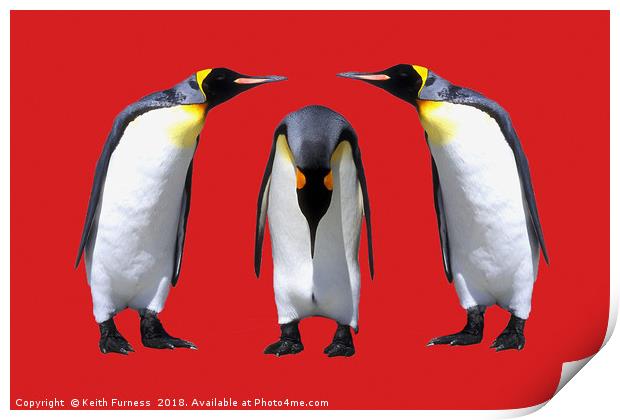 Three Penguins Print by Keith Furness