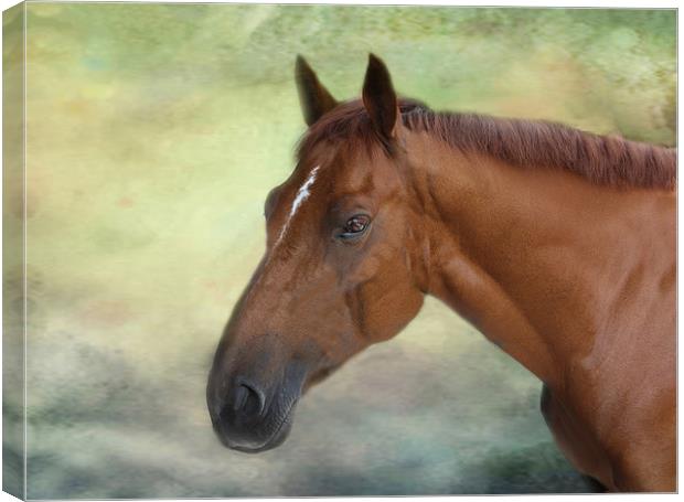 Race Horse. Canvas Print by Irene Burdell