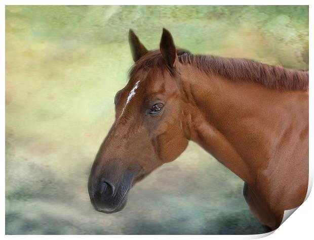 Race Horse. Print by Irene Burdell