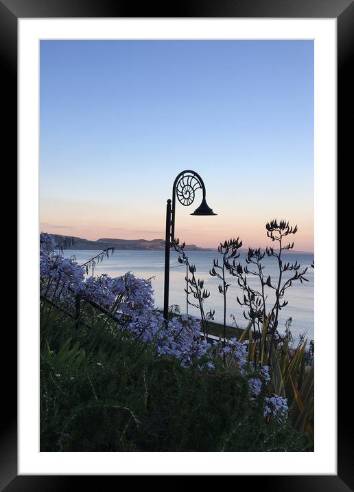 Sunset & Fossils Framed Mounted Print by suzie Attaway