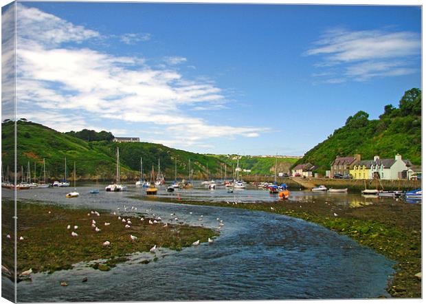 Fishguard Lower Town. Canvas Print by paulette hurley