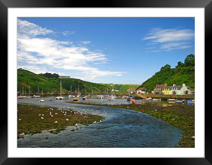 Fishguard Lower Town. Framed Mounted Print by paulette hurley