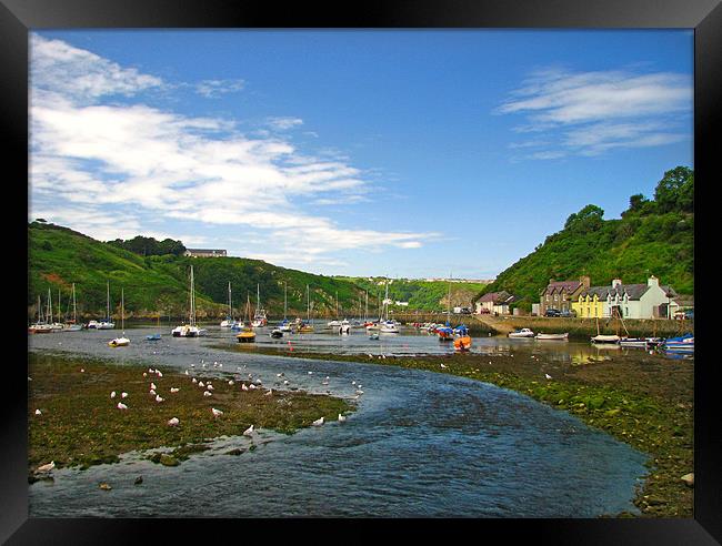 Fishguard Lower Town. Framed Print by paulette hurley