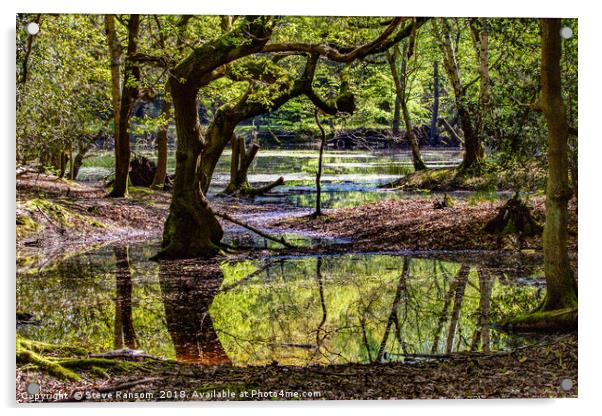 Lake in Epping Forest Acrylic by Steve Ransom