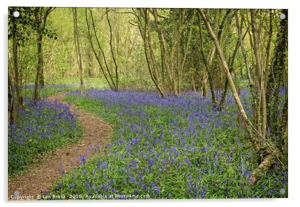 Clapham Woods Bluebells Acrylic by Len Brook