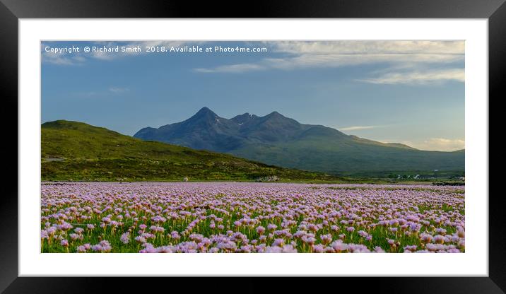 A sea of Sea Thrift #3 Framed Mounted Print by Richard Smith
