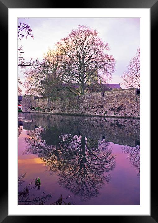 Mirror Tree Framed Mounted Print by Sammy Pea