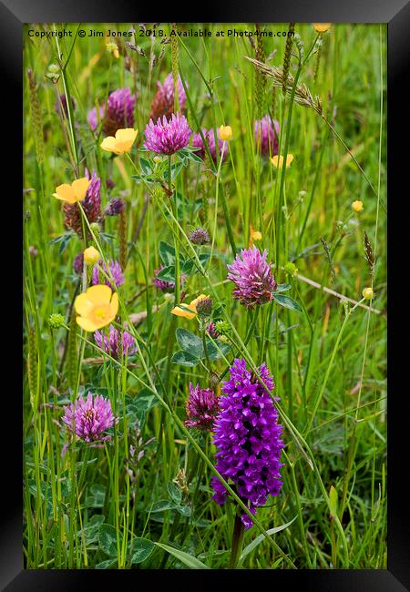 English Wild Flower Meadow Framed Print by Jim Jones