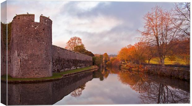Winter Moat Canvas Print by Sammy Pea