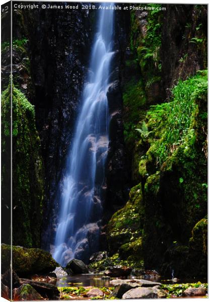 Scale Force waterfall Canvas Print by James Wood