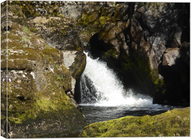 The Rival Falls, Ingleton, North Yorkshire Canvas Print by Stephen Carvell