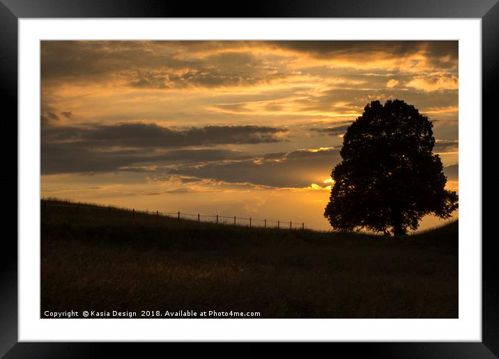 Lime Tree at Sunset Framed Mounted Print by Kasia Design