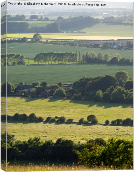 Watlington Hill in early Summer Canvas Print by Elizabeth Debenham