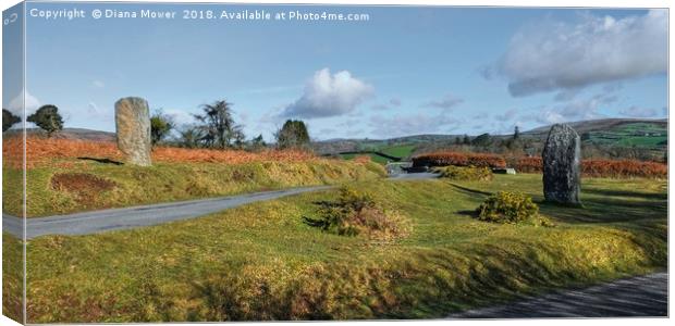 Leusdon Stones, Dartmoor Canvas Print by Diana Mower