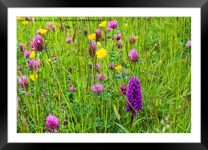 English Flower Meadow Framed Mounted Print by Jim Jones