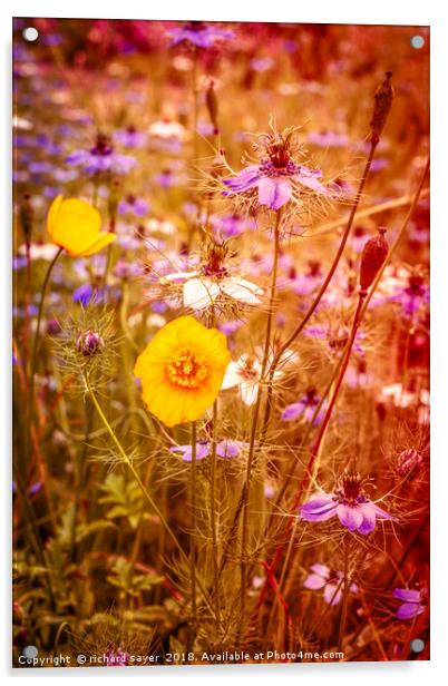 Vintage Summer Meadow Acrylic by richard sayer