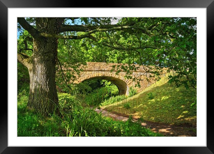 Bridge at Donyatt Halt                       Framed Mounted Print by Darren Galpin
