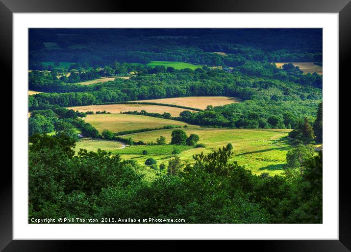 Rolling fields of the South Downs in mid summer. Framed Mounted Print by Phill Thornton