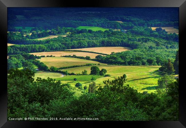 Rolling fields of the South Downs in mid summer. Framed Print by Phill Thornton