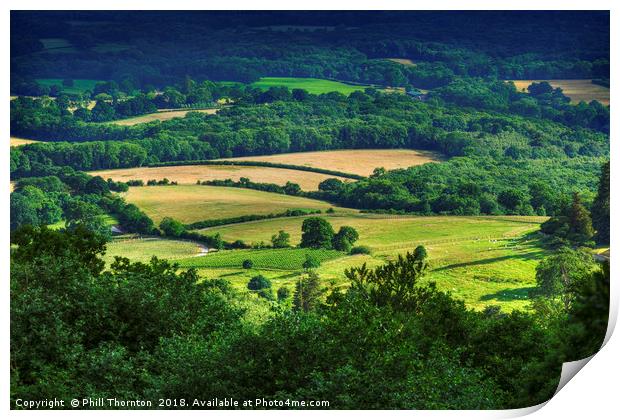 Rolling fields of the South Downs in mid summer. Print by Phill Thornton