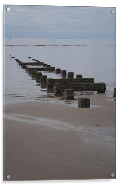 Groyne Acrylic by Margaret Elliott